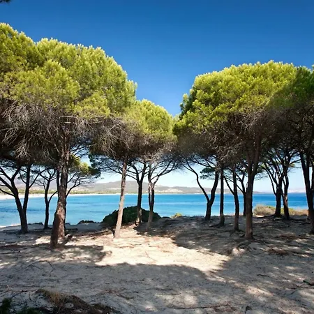 Апартаменты Peaceful Retreat Immersed In Nature *